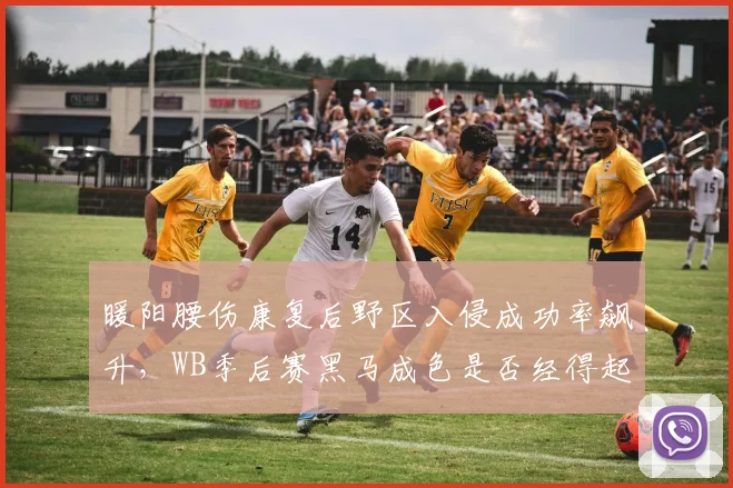暖阳腰伤康复后野区入侵成功率飙升,WB季后赛黑马成色是否经得起考验?